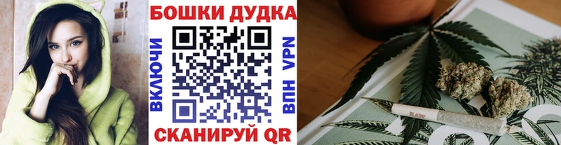 Каннабис сатива  сколько стоит  Ясногорск 